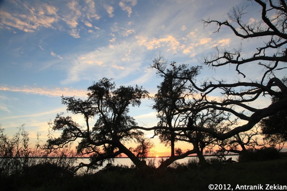 Sunset Grand Chenier, Louisiana, USA